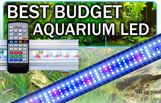 Best aquarium led for growing aquarium plants