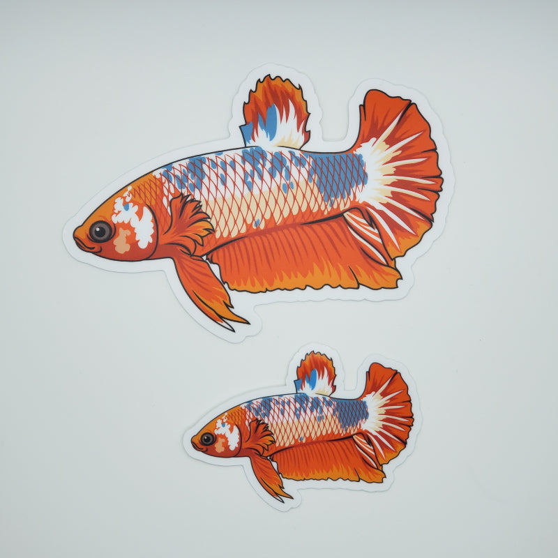 Plakat Betta Fish Sticker/Magnet/Cling - AQUAPROS