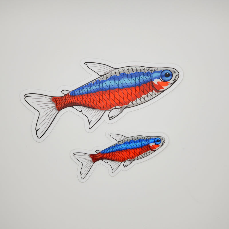 Cardinal Tetra Sticker/Magnet/Cling - AQUAPROS