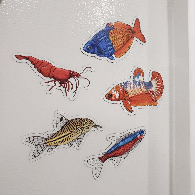 5 Pack Tropical Fish and Shrimp Stickers/Magnets/Clings - AQUAPROS