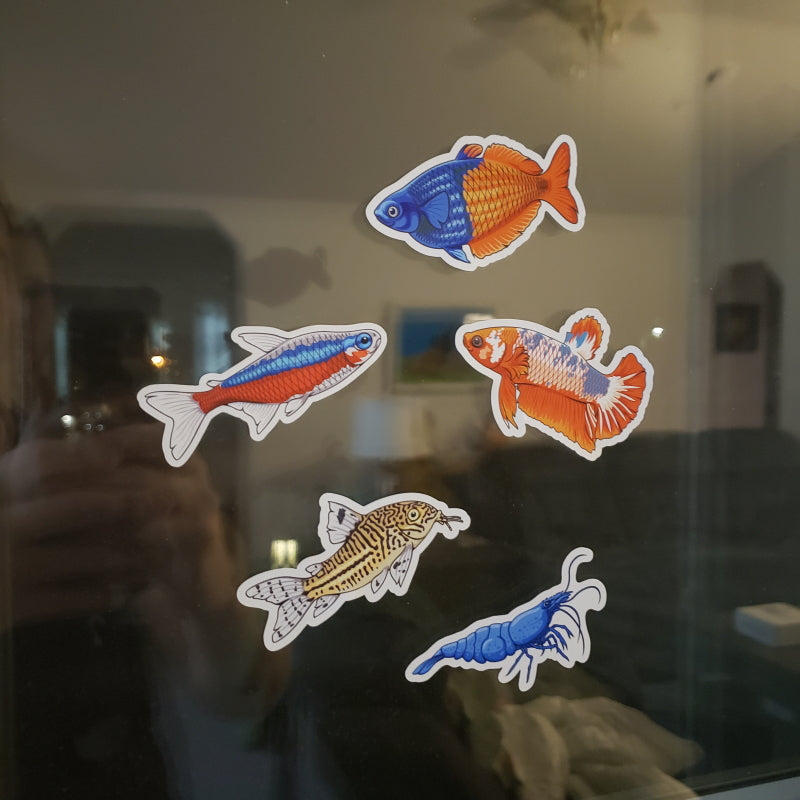 5 Pack Tropical Fish and Shrimp Stickers/Magnets/Clings - AQUAPROS