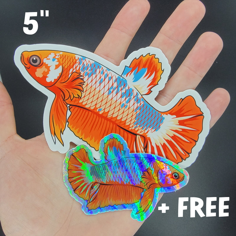Plakat Betta Fish Sticker/Magnet/Cling - AQUAPROS