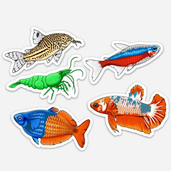 5 Pack Tropical Fish and Shrimp Stickers/Magnets/Clings - AQUAPROS