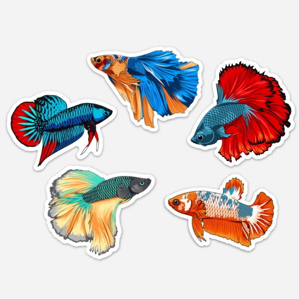 5 Pack Betta Fish Stickers/Magnets/Clings