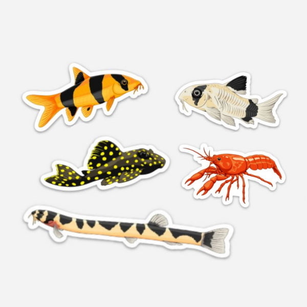 5 Pack Bottom Feeders Fish Stickers/Magnets/Clings - AQUAPROS