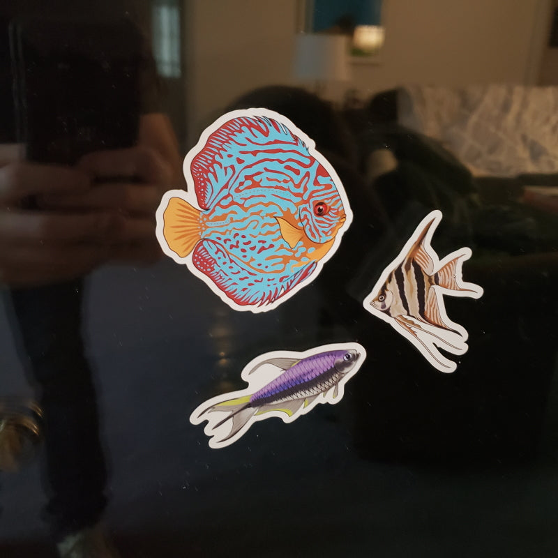 3 Pack Amazon Fish Stickers/Magnets/Clings - AQUAPROS