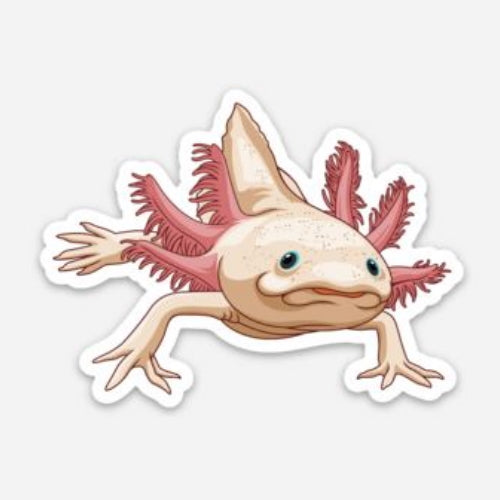 Axolotl Sticker