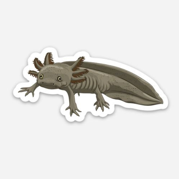 Axolotl Sticker