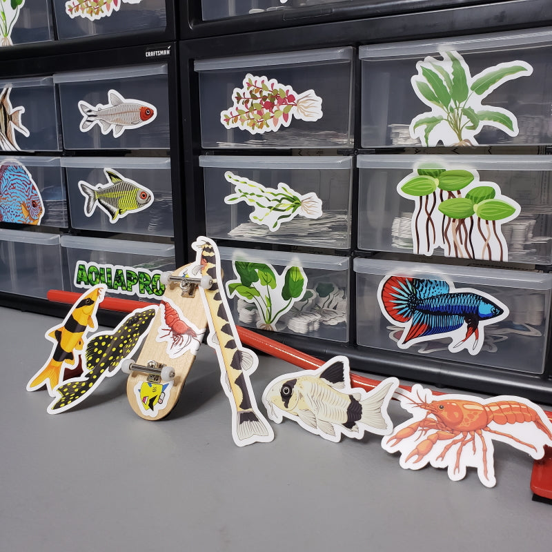 5 Pack Bottom Feeders Fish Stickers/Magnets/Clings - AQUAPROS