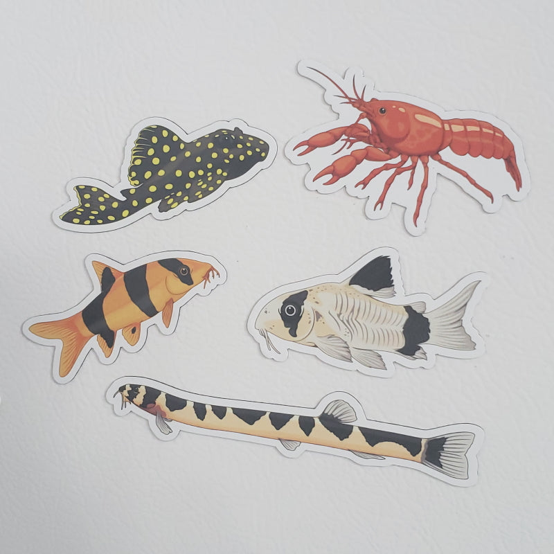 5 Pack Bottom Feeders Fish Stickers/Magnets/Clings - AQUAPROS