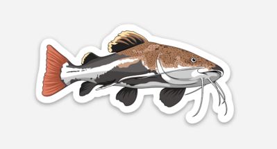 Redtail Catfish Sticker/Magnet/Cling