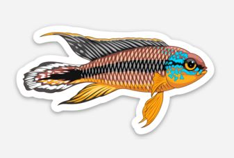 5 Pack Nano Fish Stickers/Magnets/Clings