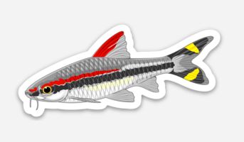 Roseline Shark Sticker/Magnet/Cling - AQUAPROS