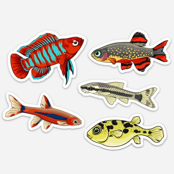 5 Pack Nano Fish Stickers/Magnets/Clings
