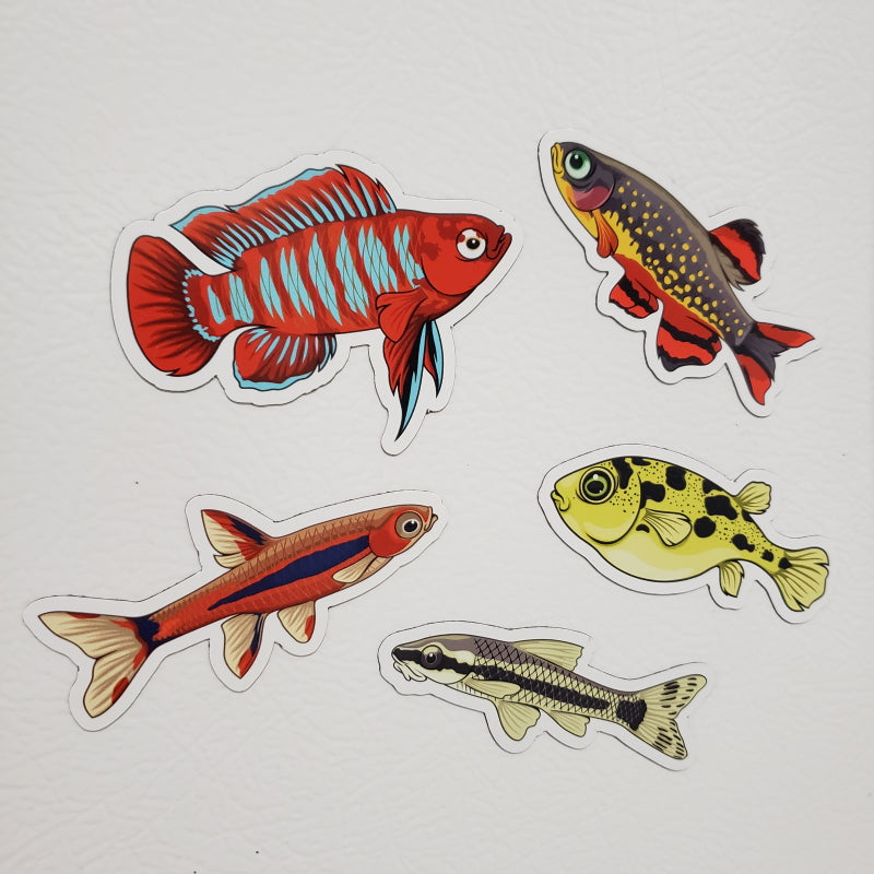 5 Pack Nano Fish Stickers/Magnets/Clings - AQUAPROS