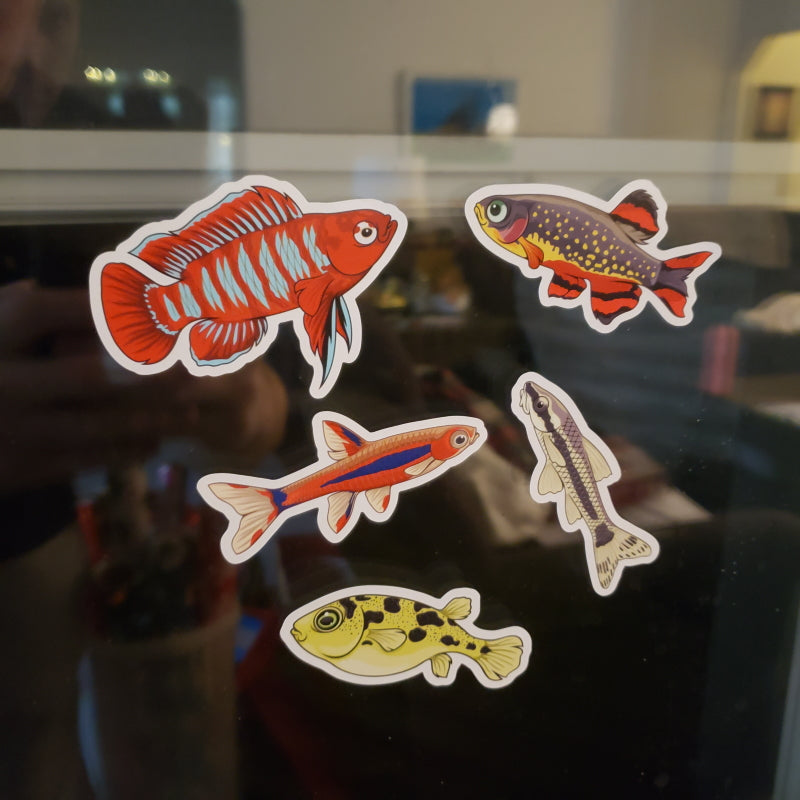 5 Pack Nano Fish Stickers/Magnets/Clings - AQUAPROS