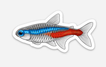Neon Tetra Sticker/Magnet/Cling - AQUAPROS