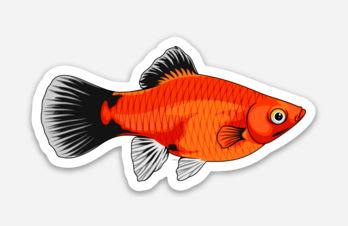 Platy Sticker/Magnet/Cling - AQUAPROS