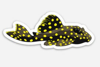 Gold Nugget Pleco Sticker/Magnet/Cling - AQUAPROS