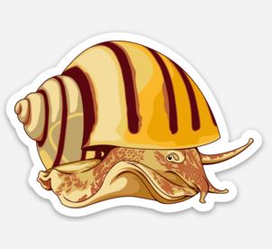 Nerite Snail Sticker/Magnet/Cling - AQUAPROS