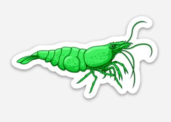 "Green Hulk" Neocaridina Sticker - AQUAPROS