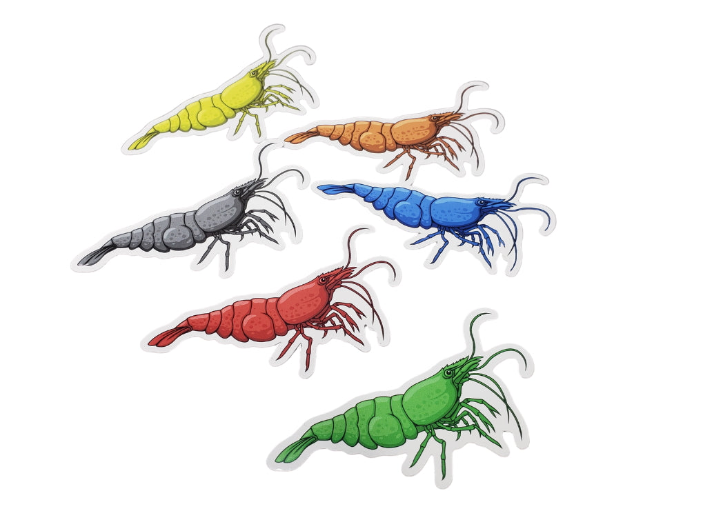 Neocaridina Shrimp 6 Pack Stickers - AQUAPROS