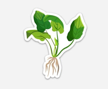 pot plant stickers Amazon Sword Plant Sticker Small (3 inch)