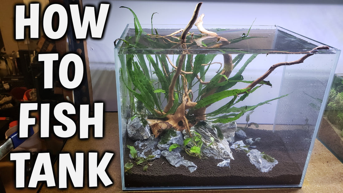 Step-By-Step Guide - Starting Your First Planted Aquarium!