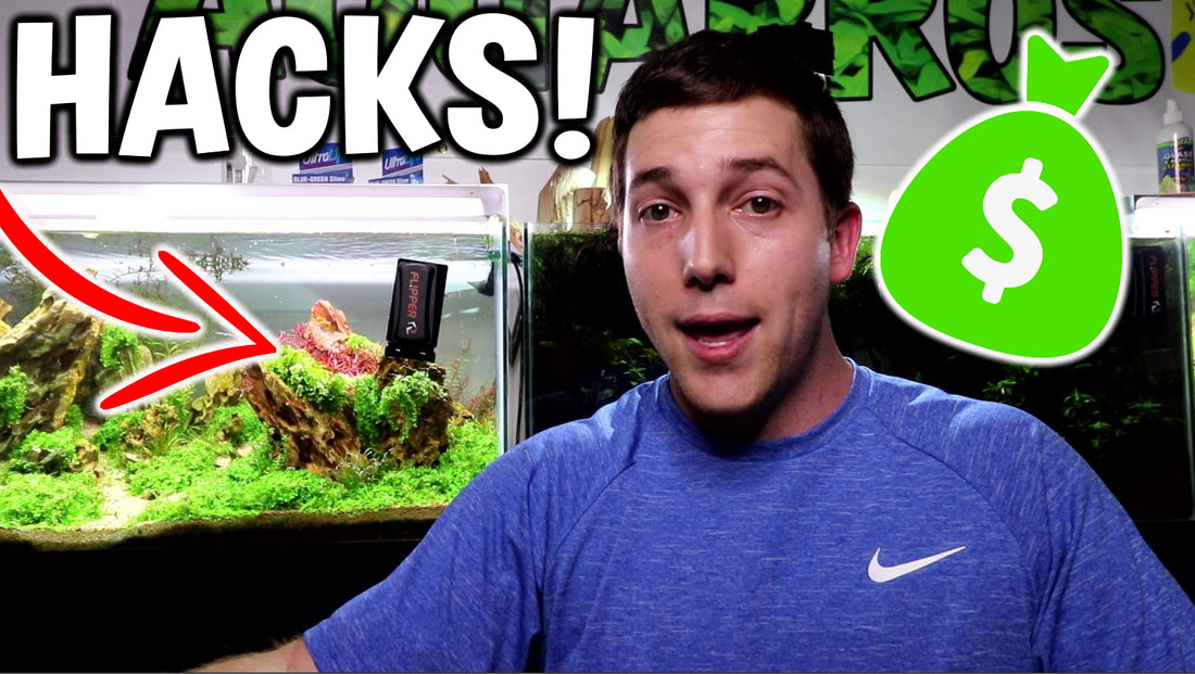6 Aquarium Hacks Every Fish Keeper Needs To Know!