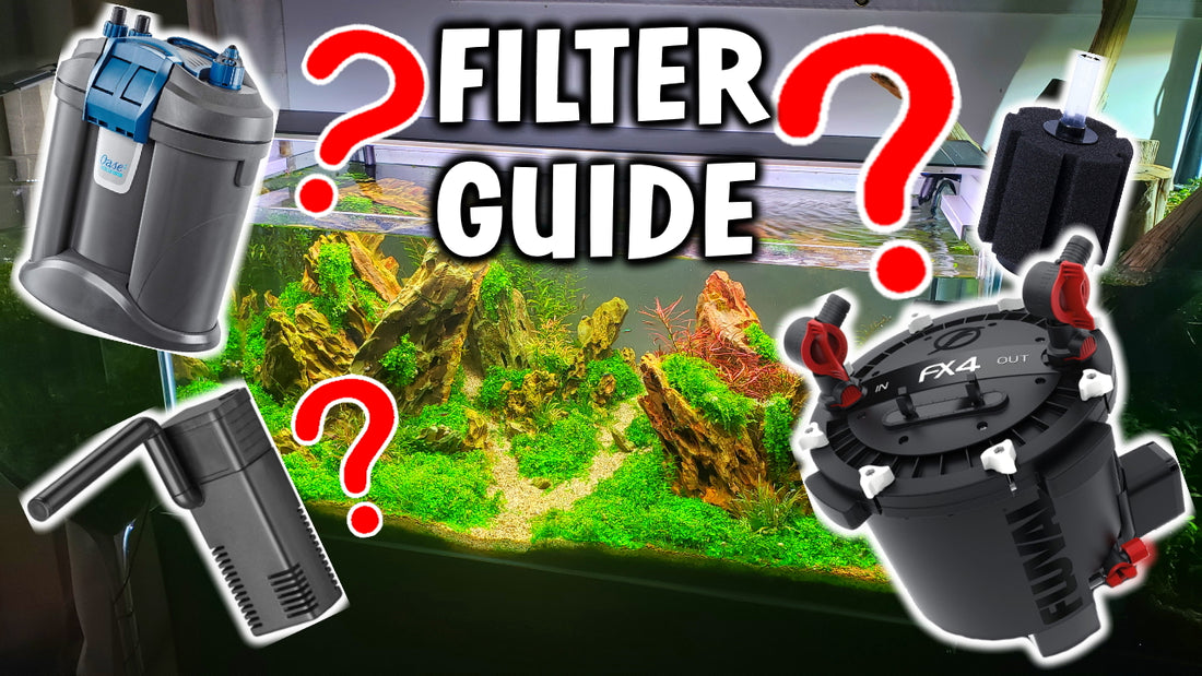 The Best Aquarium Filter For Your New Fish Tank