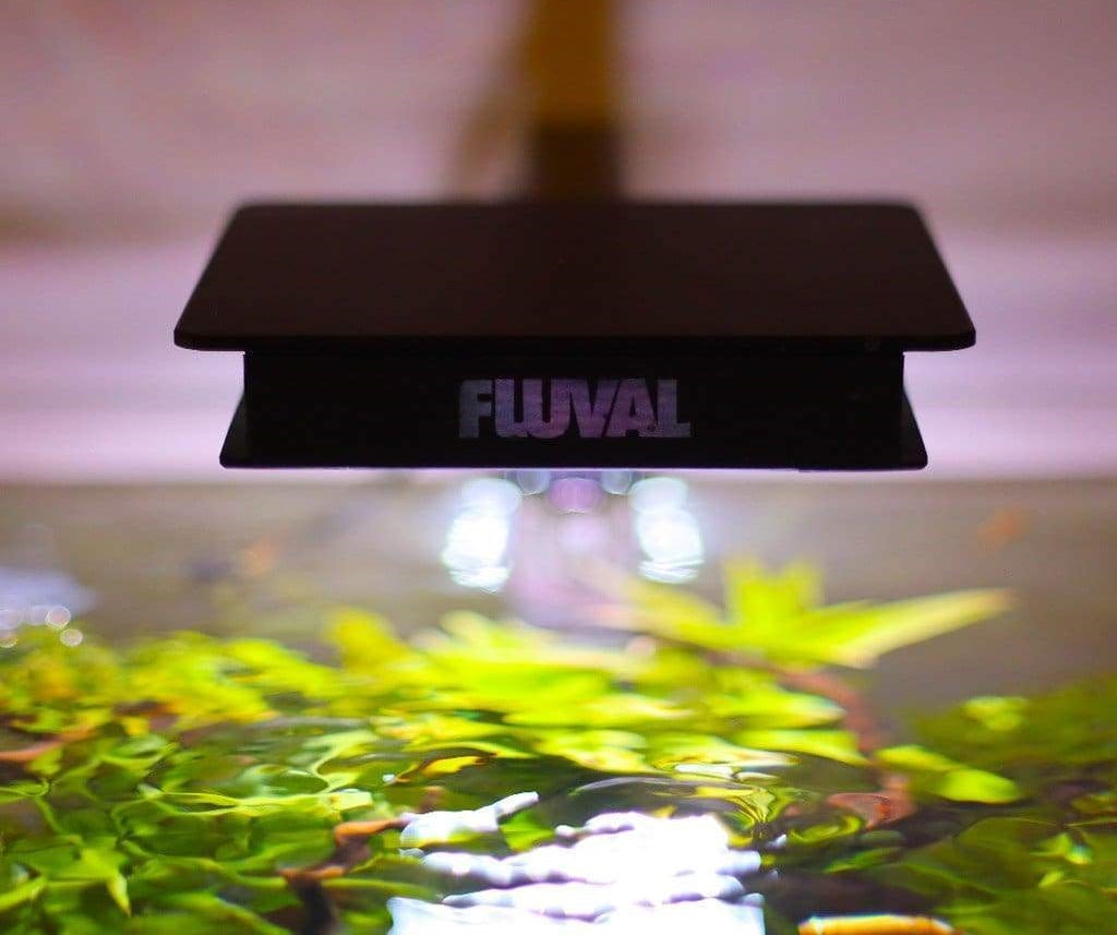 Top 5 Best Nano Aquarium LED's For Your Planted Freshwater Aquarium