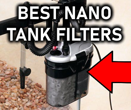TOP 5 BEST Nano Tank Filters For Your Aquarium
