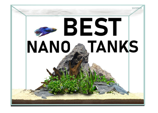 best freshwater rimless nano tanks 2020