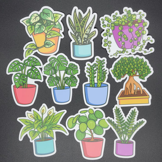 Wholesale 10 Pack Houseplant Sticker/Magnet/Cling - AQUAPROS