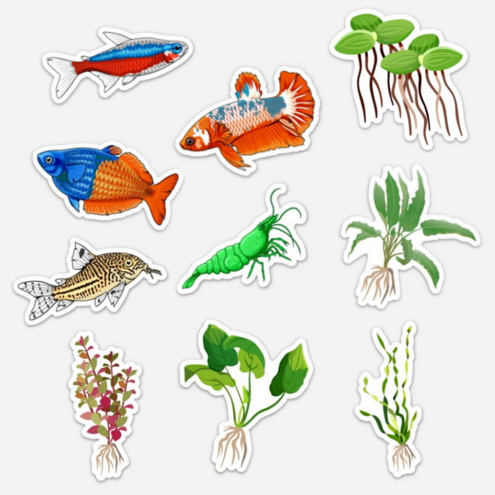 tropical aquarium fish and plants sticker s -10 pack