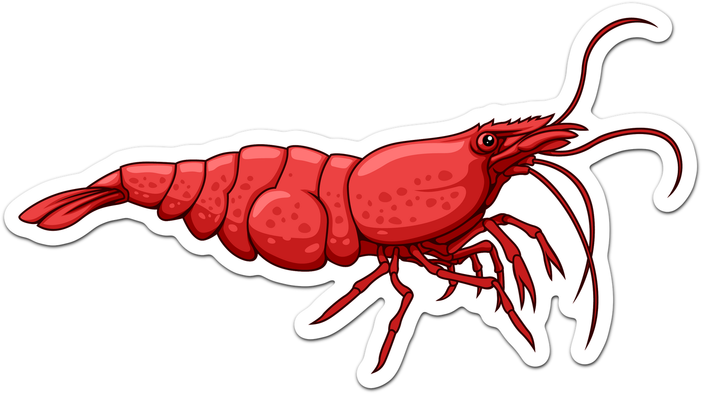 Cherry Shrimp Neocaridina Sticker - AQUAPROS