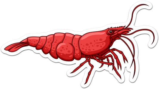Wholesale Red Cherry Shrimp Sticker/Magnet/Cling - AQUAPROS
