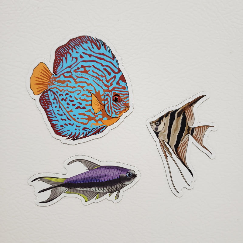 3 Pack Amazon Fish Stickers/Magnets/Clings - AQUAPROS
