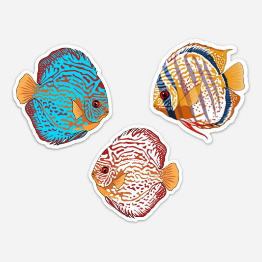discus fish sticker 3 pack - AQUAPROS