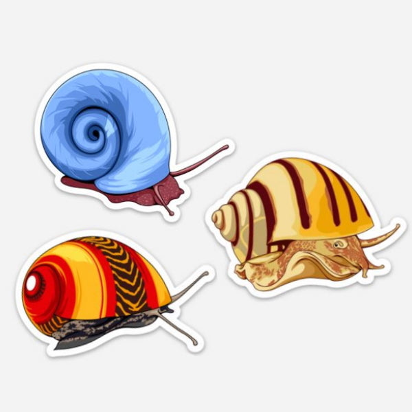 aquarium snail stickers 3 pack