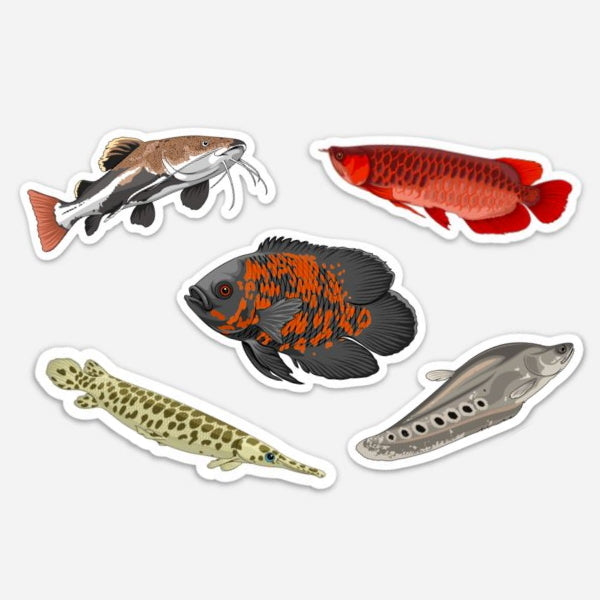 5 Pack MONSTER Fish /Magnets/Clings - 5 Pack Monster Fish Stickers ...