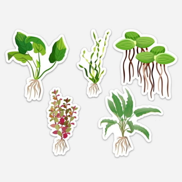 5 Pack Aquarium Plants Stickers/Magnets/Clings - AQUAPROS