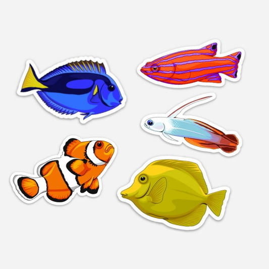 5 Pack Saltwater Fish Stickers/Magnets/Clings - AQUAPROS