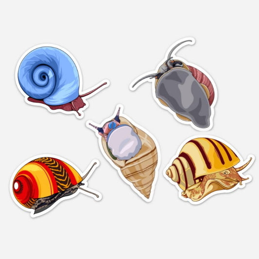 5 Pack Snails Stickers/Magnets/Clings - AQUAPROS