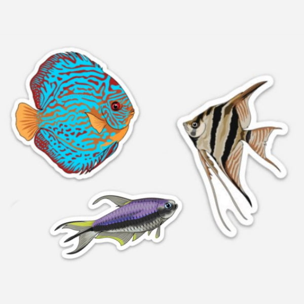 amazon aquarium fish stickers 3 pack