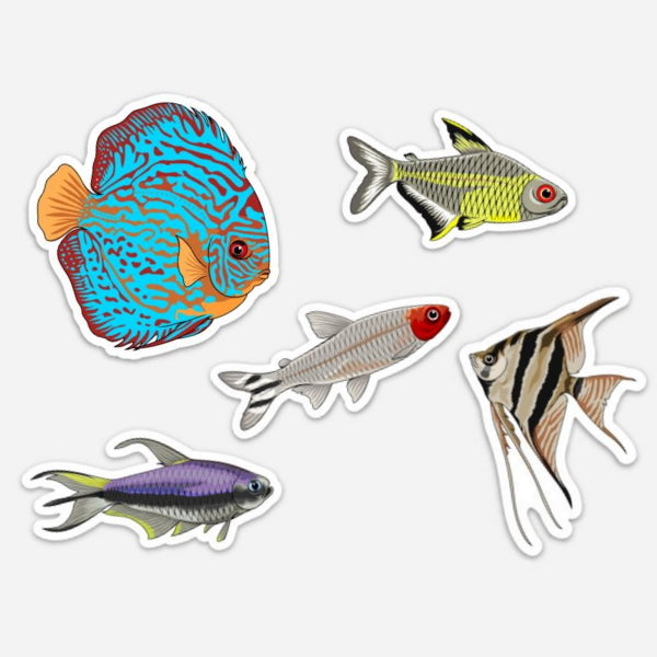 Amazon Aquarium Fish Sticker 5 Pack - AQUAPROS