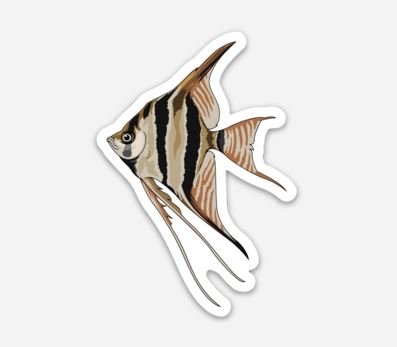 Angel Fish Sticker/Magnet/Cling - AQUAPROS