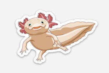 Wholesale Axoltotl (3) Sticker/Magnet/Cling - AQUAPROS