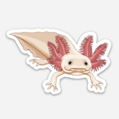 Axolotl Sticker/Magnet/Cling - AQUAPROS