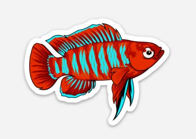 Wholesale Scarlet Badis Sticker/Magnet/Cling - AQUAPROS